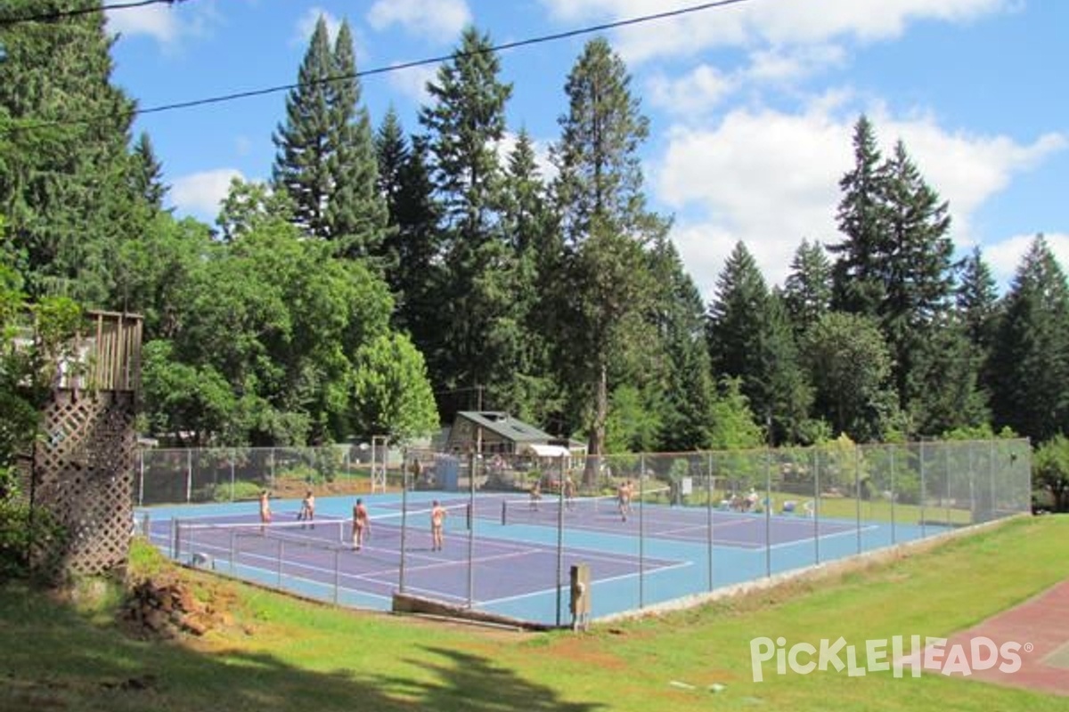 Play Pickleball at The Willamettans - Family Nudist Resort: Court  Information | Pickleheads